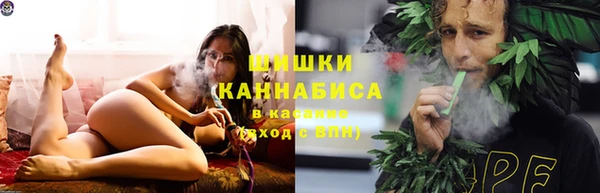 сатива Наволоки