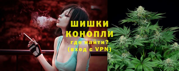 сатива Наволоки
