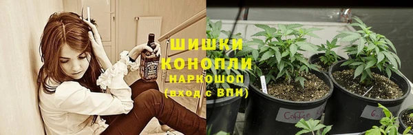 сатива Наволоки