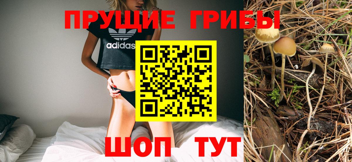 Ярцево  Псилоцибиновые грибы мухоморы  Псилоцибиновые грибы мухоморы  Вход с VPN 